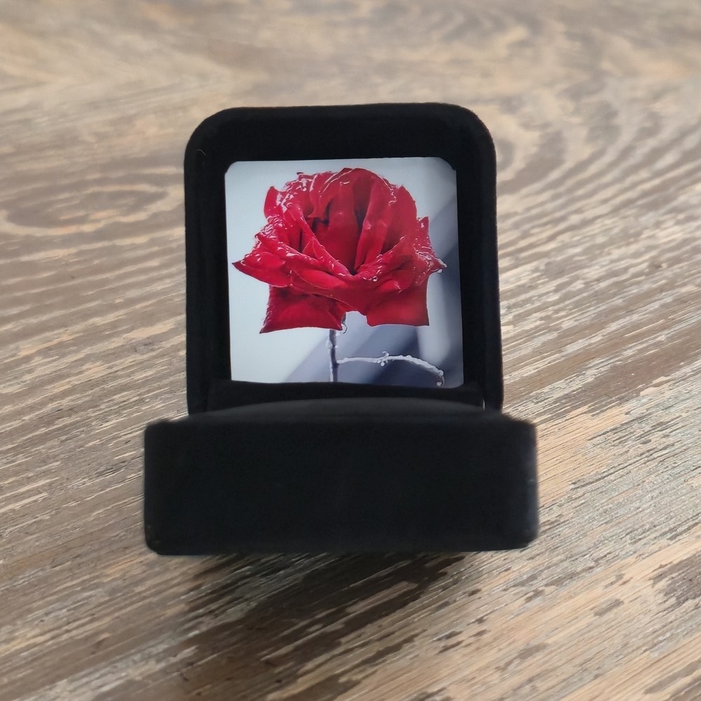 Valentine's Day Gift | Black Velvet Ring Box with Red Rose Design, Romantic Gift